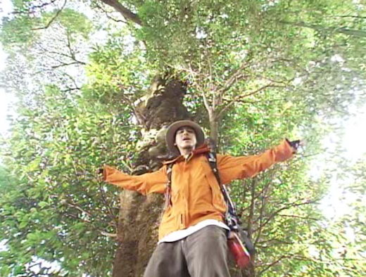 スクリーンショット(2012-01-19 18.11.51) スクリーンショット(2012-01-19 18.11.51)